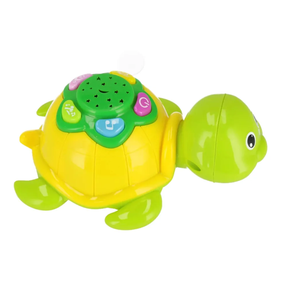 BamBam Funny Turtle lelu