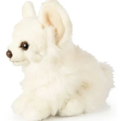 Chihuahua koira pehmolelu 18cm