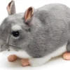Chincilla pehmolelu 22cm