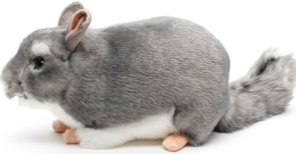 Chincilla pehmolelu 22cm