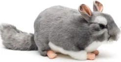 Chincilla pehmolelu 22cm