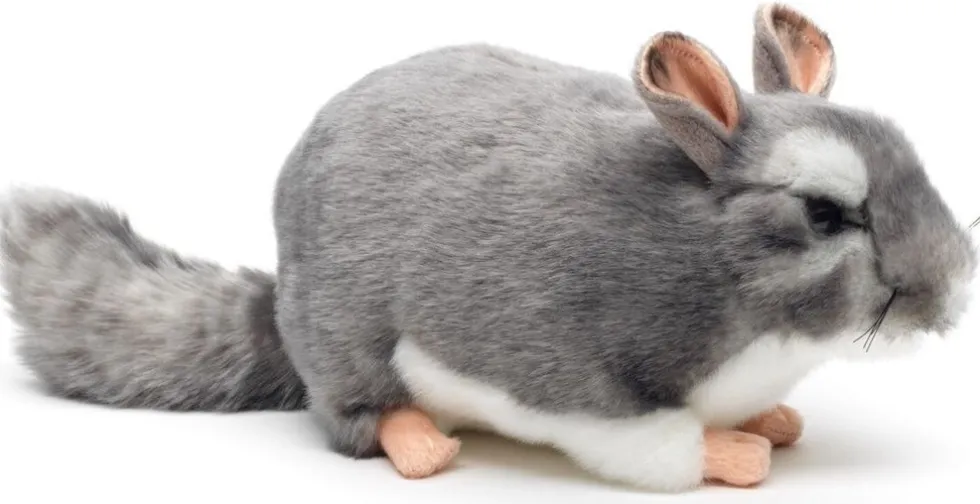 Chincilla pehmolelu 22cm