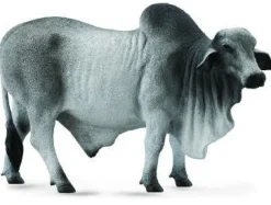 Collecta 88579 Brahman sonni