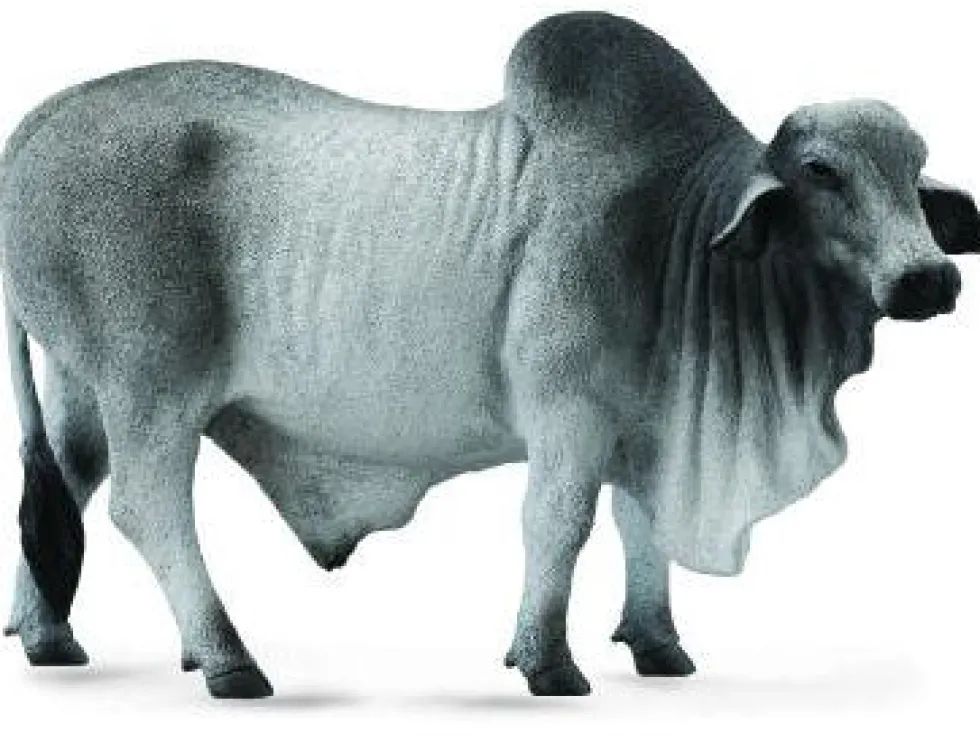 Collecta 88579 Brahman sonni