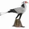 Collecta 88796 Sihteeri lintu