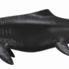 Collecta 88724 Temnodontosaurus Platyodon