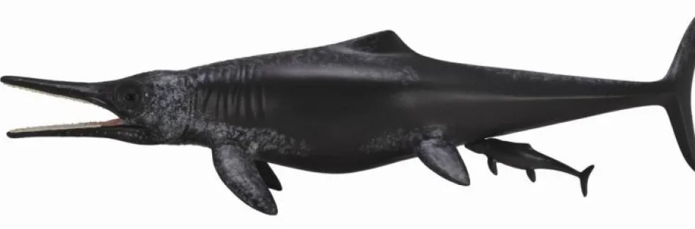 Collecta 88724 Temnodontosaurus Platyodon