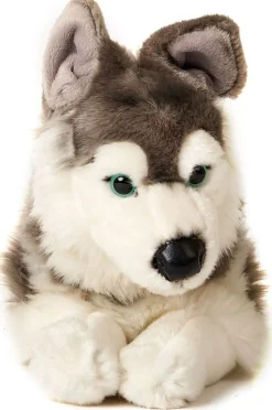 Husky koira pehmolelu 43cm
