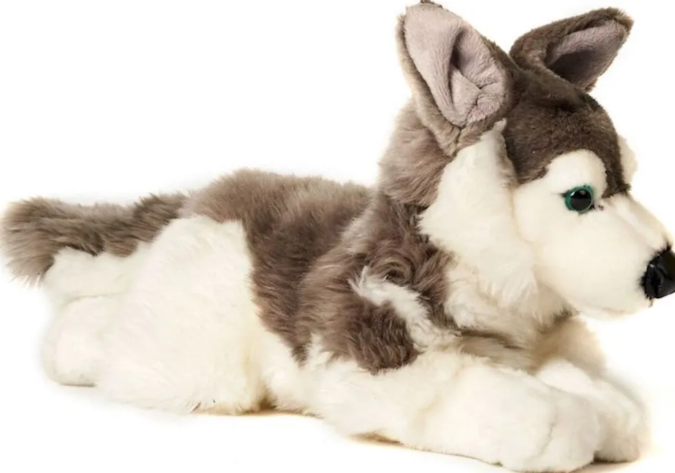 Husky koira pehmolelu 43cm