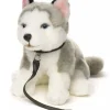 Husky koira pehmolelu 24cm