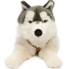 Husky suuri koira pehmolelu 60cm