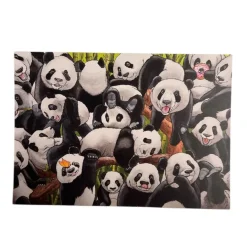 Kenkämaakari Pandamania kortti