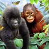 Kidicraft 3D palapeli Jungle Buddies - 63 palaa