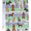Lahjakassi Pawsome pals, L-koko
