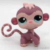 Littlest Petshop Apina #1644