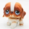 Littlest Petshop Bernhardilainen koira #76
