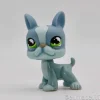 Littlest Petshop Bostonin terrieri #857