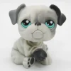 Littlest Petshop Bulldog #446