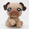 Littlest Petshop Bulldog koira #1765