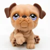 Littlest Petshop Bulldog koira #1342