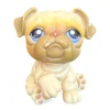 Littlest Pet Shop Bulldog #135 - Second Hand