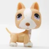 Littlest Petshop Bullterrieri #860