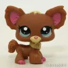 Littlest Petshop Chihuahua #1623