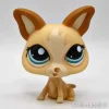 Littlest Petshop Chihuahua #1656