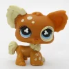 Littlest Petshop Chihuahua #731