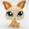Littlest Petshop Chihuahua #1656