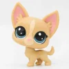 Littlest Petshop Chihuahua #92 - Second Hand