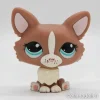Littlest Petshop Corgi #1864