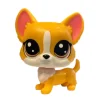 Littlest Pet Shop Corgi #4-163 - Second Hand