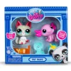 Littlest Pet Shop G7 Divin' Divas Pet Pair