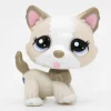 Littlest Petshop Husky #1817