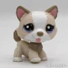 Littlest Petshop Husky #1817