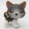 Littlest Petshop Husky koira #174 - Second hand