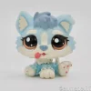 Littlest Petshop Husky pentu #1683