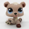 Littlest Petshop Karhu pentu #1555