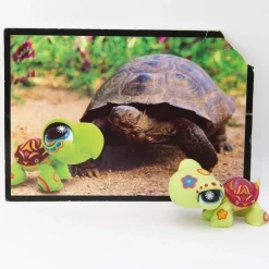 Littlest Petshop Kilpikonna #1009