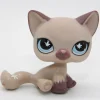 Littlest Petshop Kissa #664