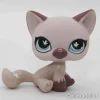 Littlest Petshop Kissa #664