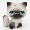Littlest Petshop Kissa #60