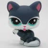 Littlest Petshop Kissa #2204