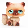 Littlest Petshop Kissa #22