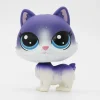 Littlest Petshop kissa #3-74