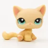 Littlest Petshop Kissa #1231, custom!