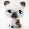 Littlest Petshop Kissa #PP1