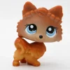 Littlest Petshop Pomerian #1599