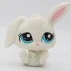 Littlest Petshop Pupu #2184